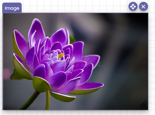 An image component. The image is a purple flower.