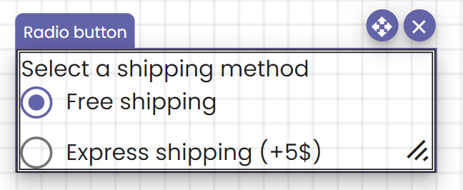 A select a shipping method radio button component.